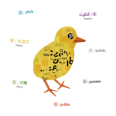 Oiseaux - Imagier multilingue